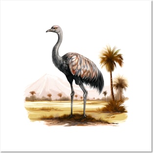 Ostrich Posters and Art